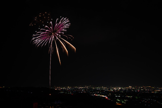 DSC_0864.jpg