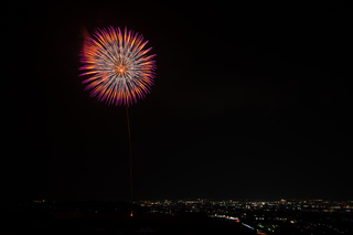 DSC_0870.jpg