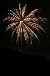 DSC_0033.jpg