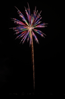 DSC_0034.jpg