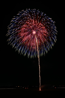 DSC_0036.jpg