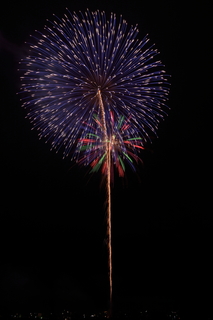 DSC_0036.jpg