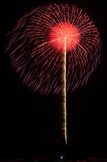 DSC_0040.jpg