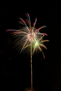 DSC_0040.jpg