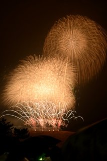 DSC_0042.jpg