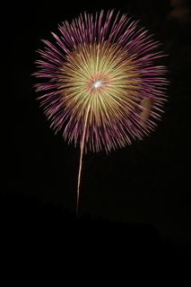 DSC_0068.jpg
