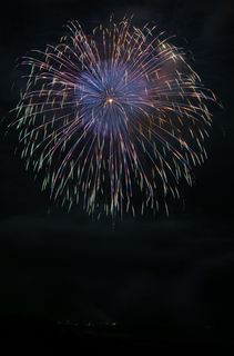 DSC_0078.jpg