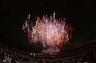 DSC_0101.jpg