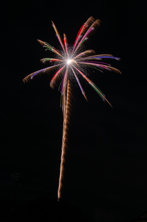 DSC_0116.jpg