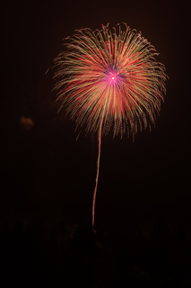 DSC_0117.jpg