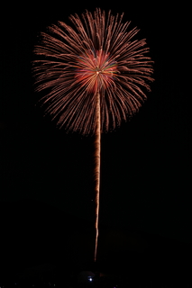 DSC_0118.jpg
