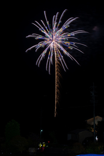 DSC_0119.jpg
