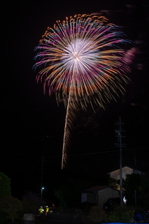 DSC_0124.jpg