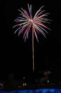DSC_0135.jpg