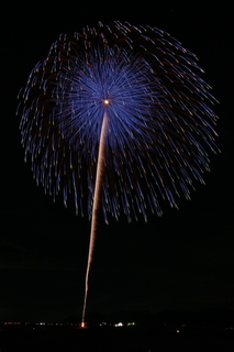 DSC_0146.jpg
