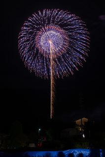 DSC_0152.jpg