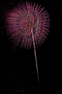 DSC_0155.jpg