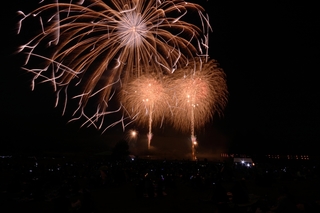DSC_0155a.jpg