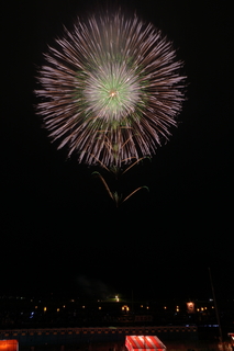 DSC_0175.jpg