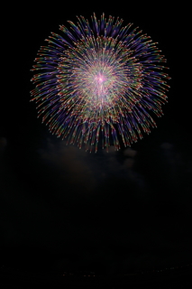 DSC_0184.jpg