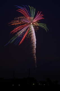 DSC_0184.jpg