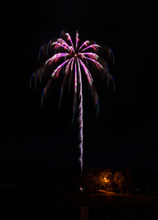 DSC_0204.jpg
