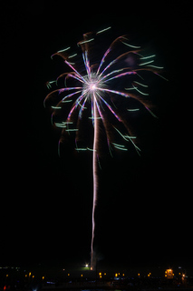 DSC_0206.jpg