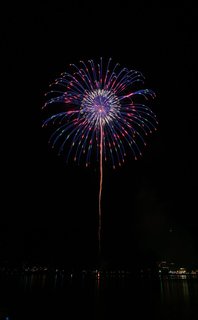 DSC_0219.jpg