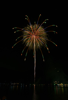 DSC_0223.jpg