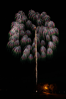 DSC_0235.jpg