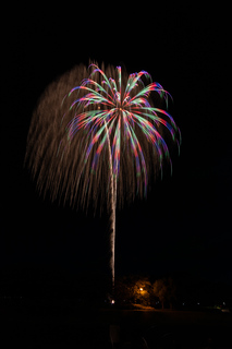 DSC_0243.jpg