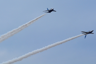 DSC_0246.jpg