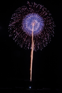 DSC_0246.jpg