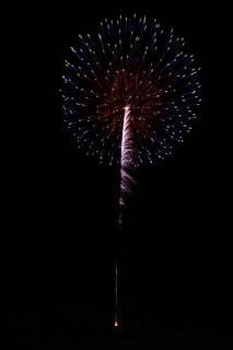 DSC_0252.jpg