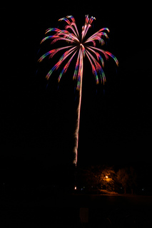 DSC_0263.jpg