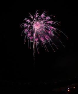 DSC_0268.jpg