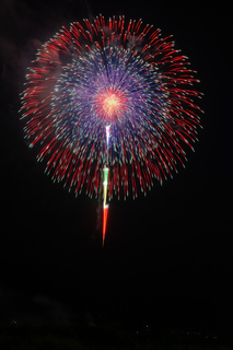 DSC_0275.jpg