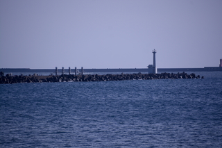 DSC_0287.jpg