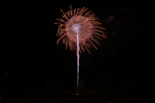 DSC_0303.jpg
