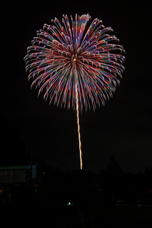 DSC_0353.jpg