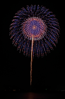 DSC_0365.jpg