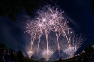 DSC_0383.jpg