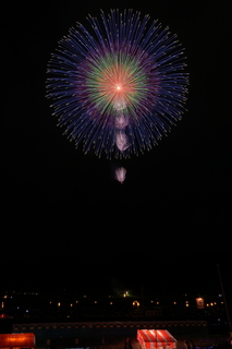DSC_0384.jpg