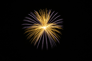 DSC_0395.jpg