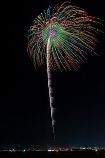 DSC_0395.jpg