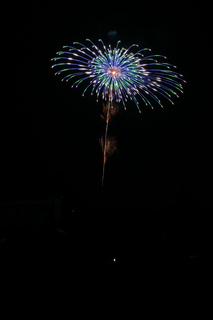 DSC_0401.jpg
