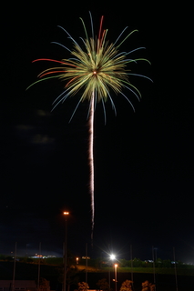 DSC_0420.jpg