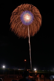 DSC_0423a.jpg