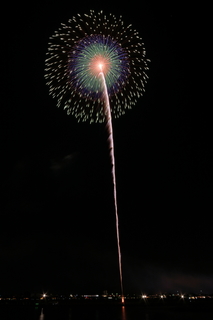 DSC_0431.jpg