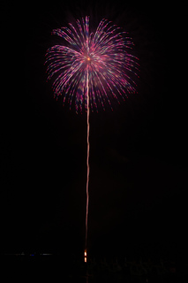 DSC_0447.jpg